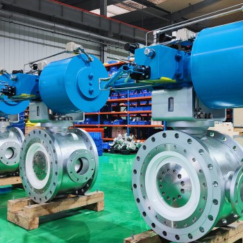 Ceramic valve (5) Ceramic valve (5)