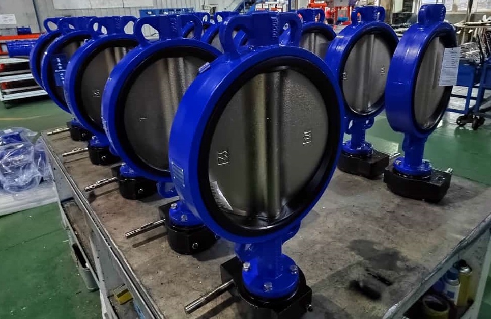 Rubber Lined Butterfly Valves2 Rubber Lined Butterfly Valves